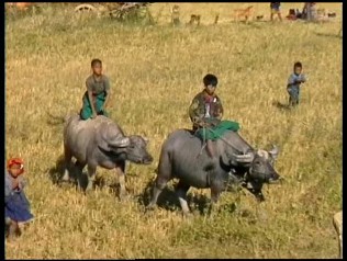 Landschaften in Myanmar