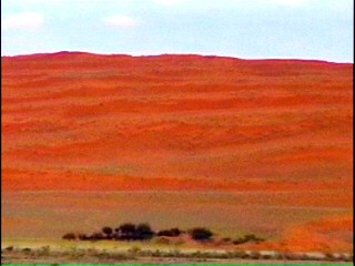 Wanderdnen im Sossusvlei