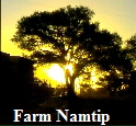 Farm Namtip