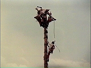 Voladores Auffhrung